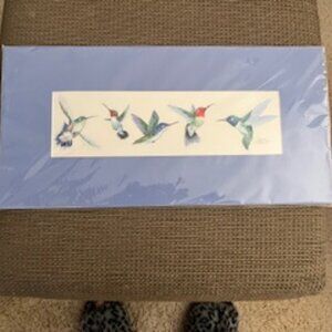 Hummingbird Print by Susan E Libby
